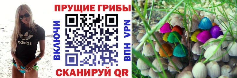блэк спрут   Макаров  Псилоцибиновые грибы мухоморы 
